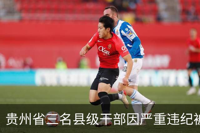 贵州省三名县级干部因严重违纪被开除党籍与公职